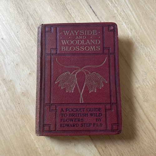 Wayside woodland blossoms - woodland,