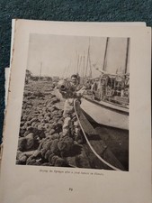 Sk217 Ephemera 1920s  picture Deep Sea Sponge Diver