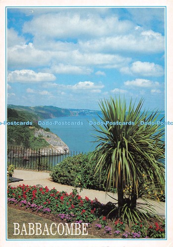 D077212 babbacombe near - babbacombe,