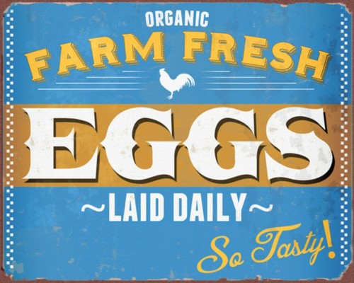 Organic fresh farm eggs for - organic,