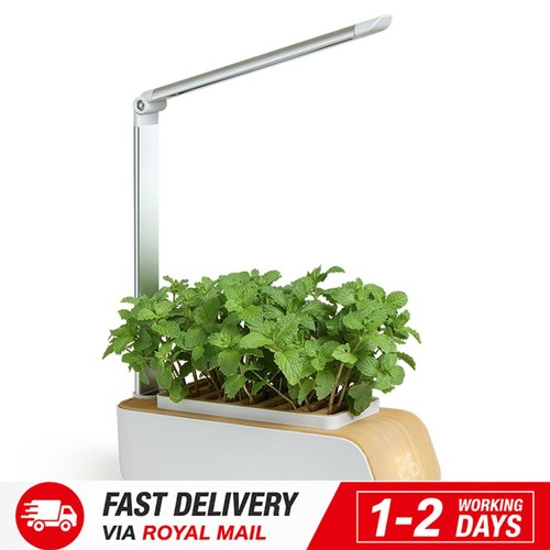 Smart indoor herb garden - indoor,
