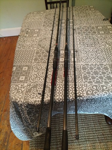 Pair diawa pro carbon - pro, carp