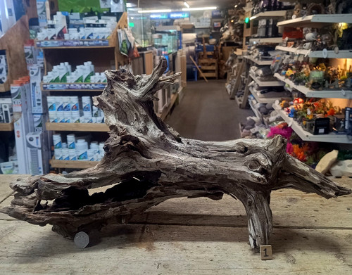 Large corbo root aquarium - large,