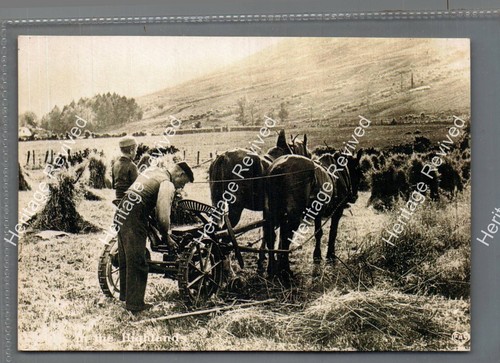 Vintage scottish highlands - vintage,