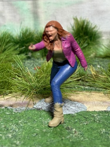 Gauge scale figures - oo,