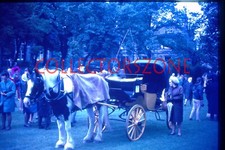 35mm Slide 1968  Huddersfield Horse & Carriage Greenhead Park