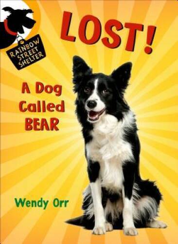 Lost dog called bear - lost!,