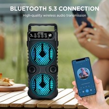 Portable Bluetooth Karaoke