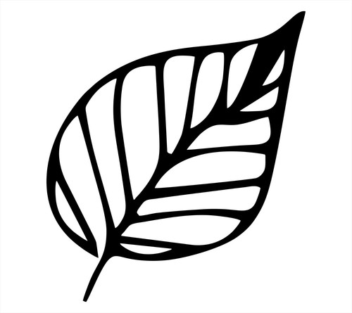 Leaf nature vinyl decal - leaf,