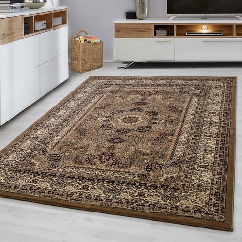 Traditional rug beige oriental - traditional,