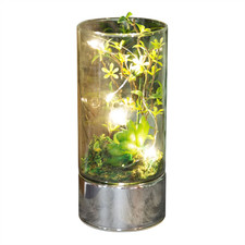 Glass Terrarium Cylinder Green