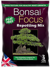 Growth Technology Bonsai Focus