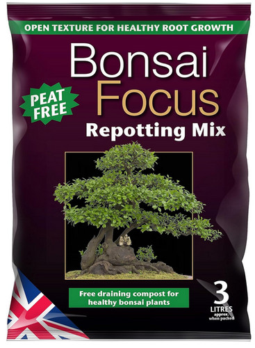 Growth technology bonsai focus - bonsai,