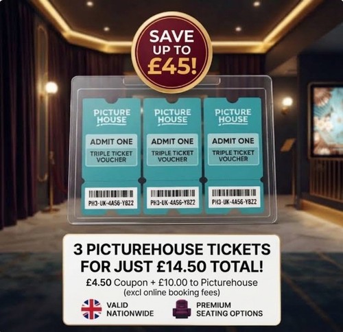 Picturehouse adult seats - 3,