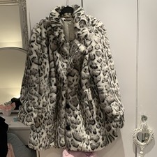 Stunning Roman Snow Leopard