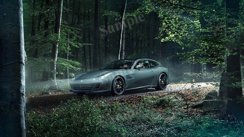 Ferrari gtc4lusso novitec - gtc4lusso, by