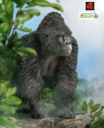 Mountain silverback gorilla - silverback,