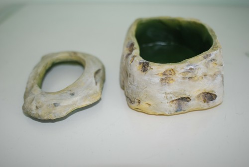 Vivarium insect worm - worm, bowl