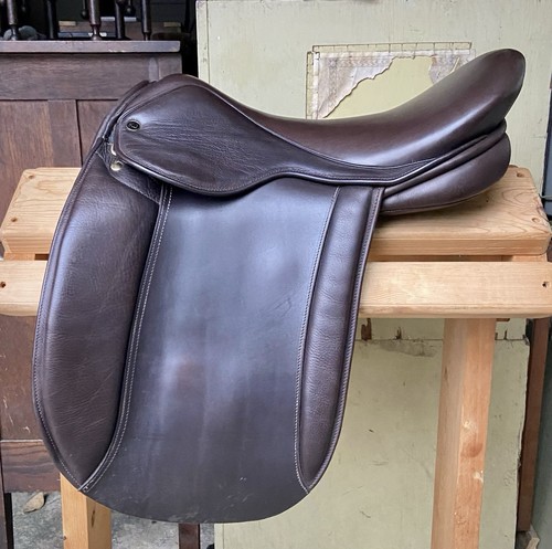 Pony cob horse - cob,