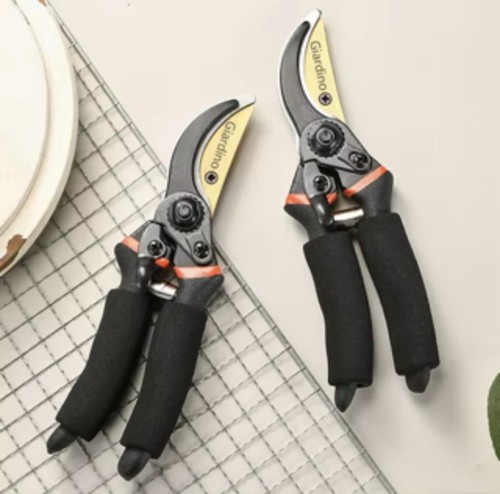 Professional secateurs - professional,