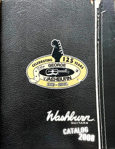 Original 2008 washburn guitar - original,