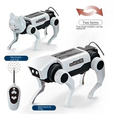 2 in 1 Rc Robot Puppy Dog Cat