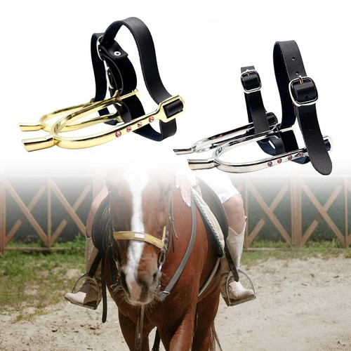 Professional rhinestone horse - professional,