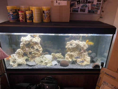 Fish tank 240l and cabinet - tank,