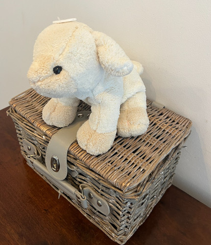 Vintage chad valley lamb dog - chad,