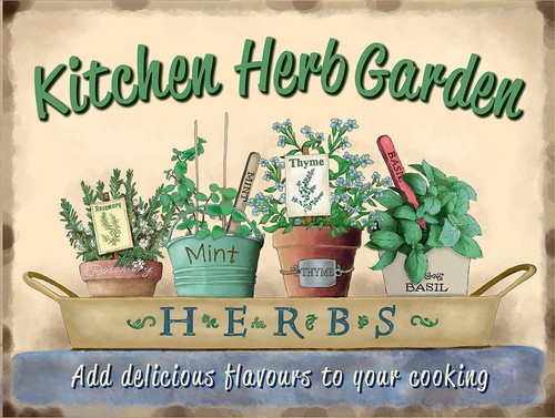 Kitchen herb garden - garden,, retro