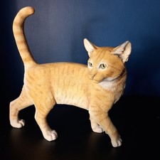 Ginger Orange Cat By Country