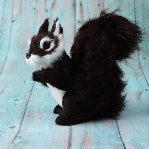 Artificial animal feather - animal,