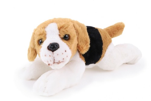 Crufts cuddly beagle - crufts,