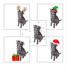 Patterdale Terrier Christmas Cards, pack of 5, 10cm x 10cm