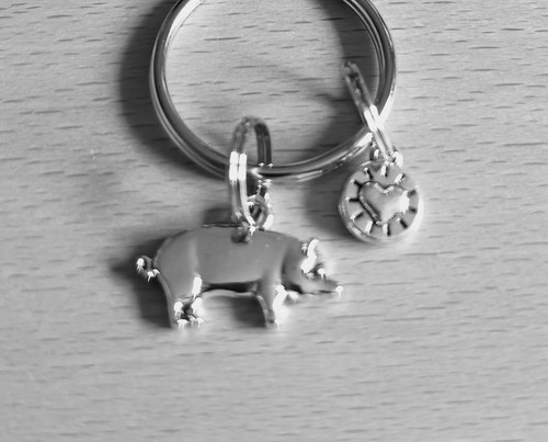 Adorable dinky little pig - dinky,