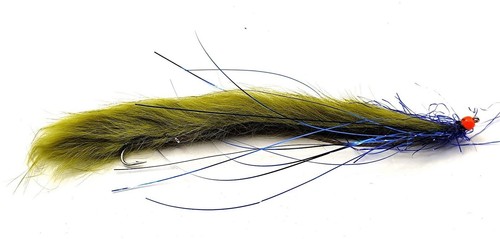 Olive damsel snake flies - damsel,