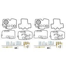2x Carburetor Repair Rebuild