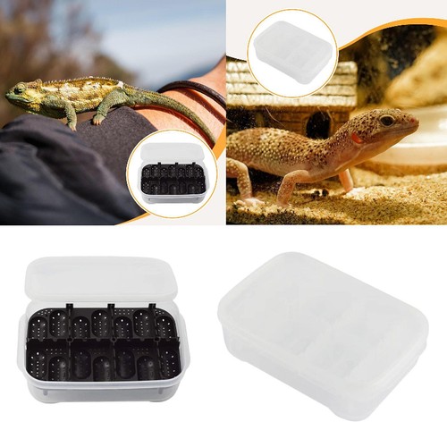 Reptile egg incubator grid - reptile,