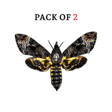 2 Real Death Head Moth Skull