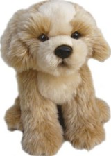 12" Shih Tzu teddy SHIH TZUS