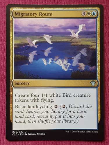Magic the gathering commander - magic,