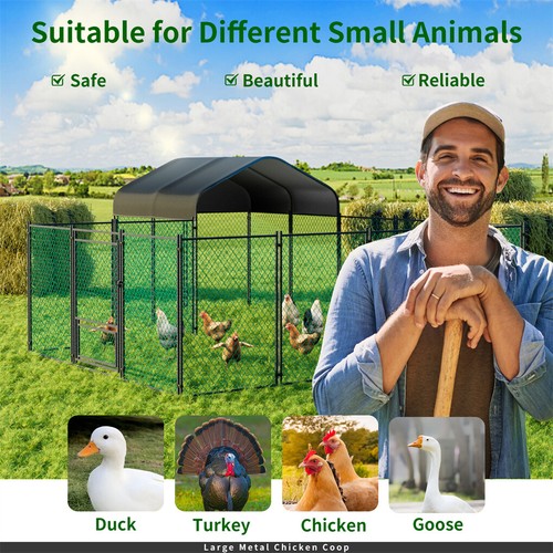 Large metal chicken coop - large,