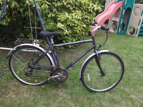 Raleigh pioneer speed u1 - speed,