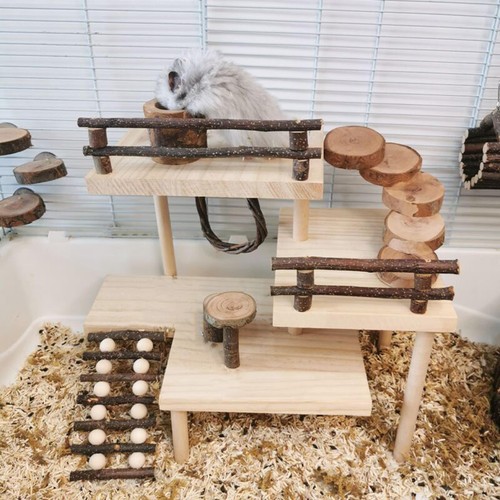 Hamster toy playground - hamster,