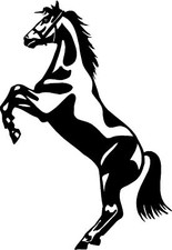 Rearing Horse Car,Camper Van