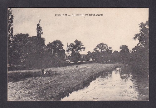 Surrey leatherhead cobham - surrey,