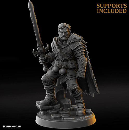 Human male paladin ttrpg - human,