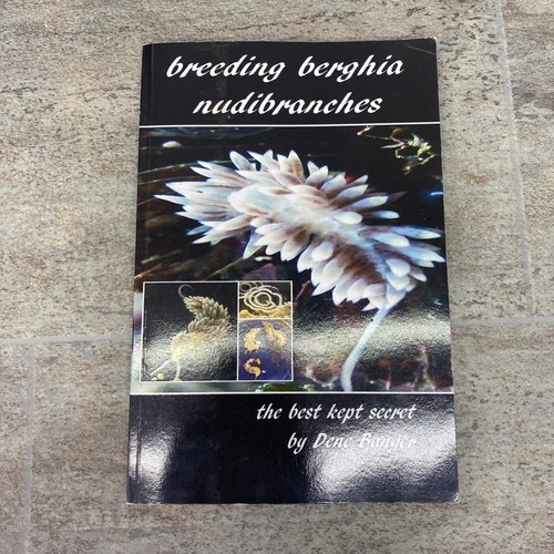 Breeding berghia nudibranches - berghia,