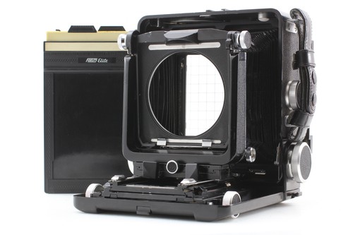 Exc wista 45sp large - 45sp,