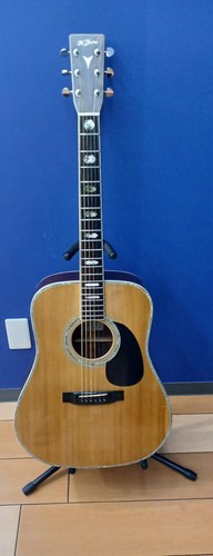 Yairi yw600 acoustic guitar - yw600,